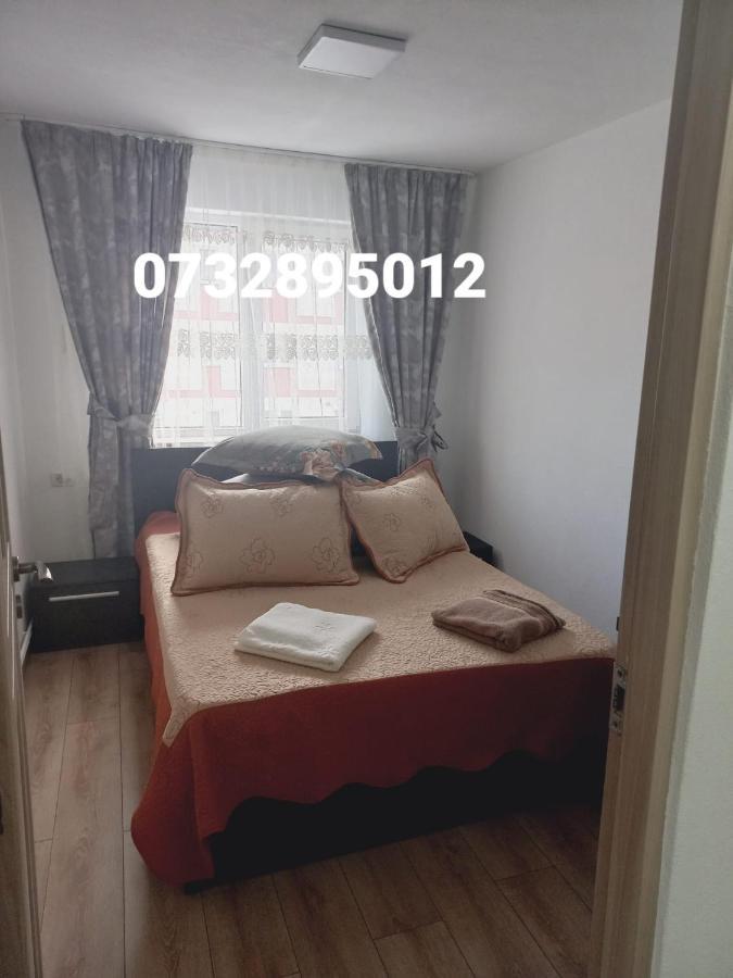 Apartament Bianca 큼홀룸그몰도베네스크 외부 사진